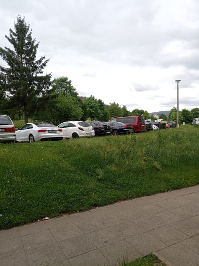 The image shows a row of parked cars on a cloudy day. In the foreground, there is a grassy area with some poppies and a paved walkway. Behind the cars, there are trees and buildings in the distance. The scene is likely a parking lot in the town of Wutha-Farnroda, Germany, given the context provided. No people are visible in the image.