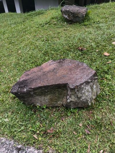 Two large, rough-hewn rocks sit on a grassy lawn. The larger rock, dominating the foreground, is dark gray and brown with a flat, somewhat square top. Patches of moss or lichen cling to its sides. The smaller rock rests further away, nestled into the green grass. The lawn appears untamed, with varying lengths and shades of green grass mixed with fallen brown leaves and small weeds. A building facade peeks into the image's top left corner.