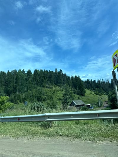 The image depicts a rural landscape with a dense evergreen forest covering a hillside under a bright blue sky with scattered white clouds. In the foreground, a metal guardrail runs horizontally across the frame, with overgrown green grass and a dirt road visible behind it. A rustic wooden house with a gray roof is situated on the hillside, nestled among trees. A dark-colored vehicle is parked near the house, and a dirt road winds its way up the hill. A yellow road sign with a red arrow is visible on the right side of the image. The overall scene suggests a remote, natural setting.