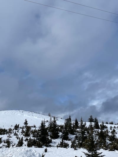 The image displays a snow-covered mountainous landscape in Kovačka Dolina, Montenegro, under a predominantly overcast sky. The upper two-thirds of the frame are occupied by dense, grey and bluish-grey clouds, with limited areas of lighter blue sky visible through breaks. Two thin, dark, horizontal lines, consistent with overhead wires, traverse the top portion of the sky. The lower third of the image reveals a snow-covered terrain, featuring a prominent snow-laden slope in the mid-ground. Numerous evergreen trees, ranging from small saplings to mature conifers, with dark green to brown foliage, are sparsely distributed across the snow, particularly in the foreground and mid-ground. Faint track-like depressions are present on the snow-covered slopes. One bare, light brown deciduous tree or shrub is visible on the upper slope, slightly to the left of the frame's center. No individuals, animals, or explicit actions are observed.