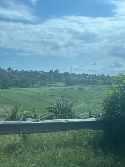 The image depicts a scenic rural landscape, likely in the vicinity of Jeneponto, Indonesia, characterized by lush green terraced rice paddies. The foreground features a weathered metal guardrail positioned above a dense growth of grass. Behind the guardrail, the rice fields stretch out, meticulously divided by earthen banks, reflecting the sky and surrounding greenery.
In the middle ground, a gentle, tree-covered hillside rises, dotted with scattered buildings and several wind turbines, indicating a blend of traditional agriculture and modern renewable energy infrastructure. The sky above is a vibrant blue, partially obscured by wispy white clouds. Tropical vegetation, including palm fronds, is visible on the edges of the frame, further defining the tropical setting. The overall impression is one of tranquility and a harmonious coexistence between natural beauty and human activity.