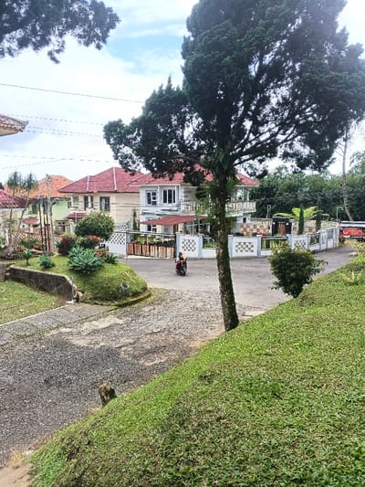 This image depicts a residential street scene in Pô Kô, Vietnam, under a partially cloudy daytime sky. In the foreground, a steep grassy slope occupies the right and lower-left, bordering a paved road that curves from the lower-left towards the center-right. A large, dark green coniferous tree with visible ferns on its trunk stands prominently on the right side of the road. On the road, a single individual, clad in light clothing, is operating a dark-colored motorcycle, traveling away from the camera towards the right. To the left of the road, a landscaped island features various succulent plants and shrubs, bordered by a concrete curb. Behind this, multiple multi-story houses are visible, all featuring red-tiled roofs. The most prominent house on the right is white with balconies and a dark-colored gate within a decorative white fence. Further left, other houses display beige and light green exteriors. Power lines are visible stretching across the scene. The background consists of dense green foliage and trees.