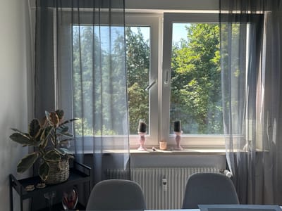 The image depicts an indoor scene, likely a dining area, with a large window as the focal point. The window overlooks a lush green area with many trees, suggesting a location with ample greenery, potentially a residential area with gardens or a park nearby. The window is divided into two sections, with a sheer grey curtain on the left side partially obscuring the view and a sheer grey curtain on the right side drawn back. On the windowsill, there are two decorative pink candle holders with black candles, a small pink-tinted glass container, and two small crystalline objects. To the left of the window, on a black shelf unit, is a potted plant with large variegated leaves. The plant is in a woven basket. Below the plant, on the shelf, are two small white ceramic houses, a stemmed glass, and a decorative vase with red and dark elements. In the foreground, two grey upholstered dining chairs are visible, facing away from the window and towards the viewer. A radiator is positioned beneath the windowsill, with a small white device attached to it. The overall impression is one of a quiet, well-lit domestic space, possibly in the city of Bielefeld, Germany, given the prompt's request for geographical context.