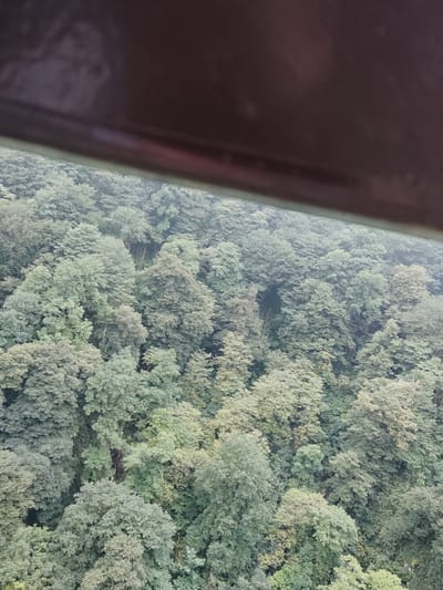 The image shows a dense forest with a variety of trees in shades of green and brown. The canopy is thick, and the trees appear to be mature. The lighting suggests it is daytime, possibly overcast, as there are no strong shadows. The top of the image is partially obscured by a dark, curved object, which appears to be a railing or frame, possibly from a viewing platform or structure. The forest floor is not visible due to the density of the trees. The image is shot from an elevated perspective, looking down into the forest. The overall impression is of a lush, natural landscape. The location is identified as being in the city of Satsiskvilo, Georgia.