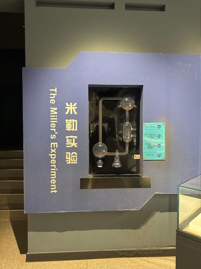 A museum exhibit features "The Miller's Experiment." A transparent glass apparatus with interconnected flasks and tubes is encased in a dark frame. Above, a series of four small blue cards with writing are displayed. The text "米勒实验 (Mǐ lè shíyàn)" is printed in gold lettering, followed by "The Miller's Experiment" in English, also in gold. The display is set against a purple background, which is surrounded by gray walls and a dark gray floor.