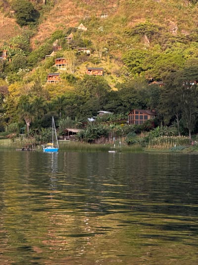 The image displays a panoramic view of a lakeside environment in San Pablo La Laguna, Guatemala. The lower half of the frame is dominated by a body of water with a rippled surface, reflecting sunlight in greenish-brown hues. Moored in the mid-foreground, slightly to the left of center, is a light blue sailboat with a white mast and no visible sails. To the immediate left of the sailboat, a rustic wooden dock extends into the water. Further along the shoreline to the right, a small white floating object is visible.

The shoreline is densely covered with tall green reeds, lush tropical vegetation, including palm trees and banana plants, and a section of cultivated plants resembling corn on the right. Numerous structures are visible along the shore and ascending a steep, verdant hillside in the background. Close to the right shoreline, a multi-story building with dark-framed windows and a brown exterior is situated amongst trees, alongside a smaller white building with a dark roof. A structure with a thatched roof is present closer to the sailboat's location.

Further up the steep hillside, a series of wooden cabins or bungalows with reddish-brown exteriors and dark roofs are interspersed among the dense foliage. These structures appear to have multiple levels. Higher on the hillside, where vegetation becomes sparser, additional, smaller structures, some resembling tents or basic shelters, are scattered. The hillside exhibits patches of exposed earth amidst the trees and shrubs. The scene is static, illuminated by bright daylight, with no discernible people or explicit actions.