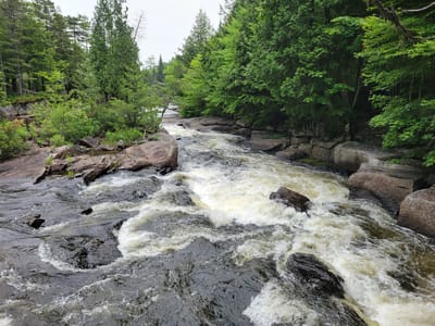 The image depicts a river with whitewater rapids flowing through a forested area. The riverbed is composed of dark rocks and some larger, rounded boulders are visible along the banks, some of which are partially submerged. The water is turbulent, with numerous white foam patches indicating rapids. The surrounding environment is a dense forest with a variety of evergreen trees and some deciduous trees, characterized by lush green foliage. The sky appears overcast, suggesting diffused lighting conditions. The scene appears to be a natural landscape, likely a park or wilderness area, and does not contain any identifiable human presence, man-made structures, or specific city landmarks. Therefore, it cannot be definitively placed in the city of Saint-Alban, Canada, or any other specific location without additional context.