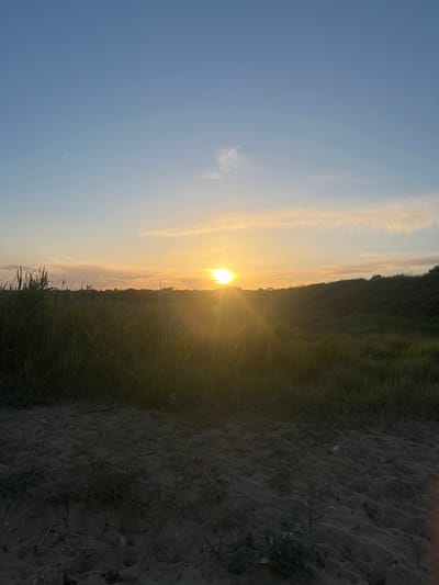 The image depicts a sunset over a coastal landscape, likely in Harwich, United Kingdom. The foreground is dominated by dark sand with sparse patches of dry grass and debris. Beyond the sand, tall, green reeds and grasses grow densely, creating a natural barrier. The middle ground features a gentle, grassy slope leading up to a darker, wooded area. The sky is a gradient of pale blue at the top, transitioning to a soft yellow and orange hue near the horizon, indicating the setting sun. The sun itself is a bright, almost white orb positioned slightly to the right of the center, with visible rays of light emanating from it. A few thin, wispy clouds are scattered across the sky. The overall impression is of a serene, natural environment at dusk. There are no people or explicit man-made structures visible in the frame.