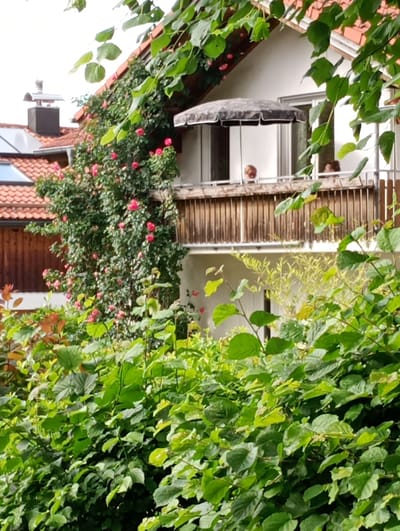 This image depicts a close-up view of a building with a balcony, partially obscured by lush green foliage and pink roses. The building has a red-tiled roof and a white facade. On the balcony, a black and white umbrella is open, and two individuals, a child and an adult, are visible behind the railing. A chimney with a metallic cap is present on the roof. The scene is set outdoors, likely in a residential area, as suggested by the architecture and the presence of the garden. The lighting indicates it is daytime. The image is taken from a low angle, looking upwards towards the balcony. The overall impression is one of a serene, overgrown domestic setting. The location is identified as Brannenburg, Germany.