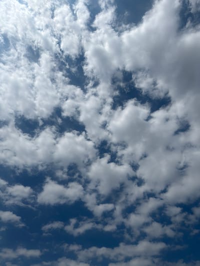 A close-up, upward-facing shot captures a sky filled with scattered, fluffy white cumulus clouds against a deep blue background. The clouds vary in size and density, with some appearing thin and wispy, while others are more substantial and opaque. The lighting suggests it is daytime, with sunlight filtering through and illuminating the edges of the clouds. No buildings, people, or specific landmarks are visible, making it impossible to determine a precise location within Wismar, Germany. The image focuses solely on the atmospheric conditions.