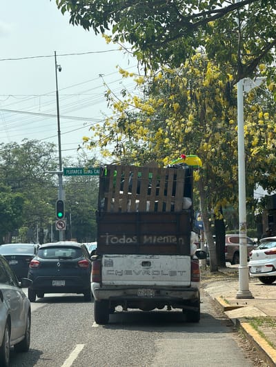 The image depicts a street scene in Villahermosa, Mexico, as indicated by the street sign "PLUTARCO ELIAS CAI". The scene appears to be a residential street with trees and power lines overhead. In the foreground, there are several vehicles lined up in traffic. A truck is prominently featured, loaded with an open wooden structure. The truck's tailgate displays the word "CHEVROLET". Additionally, the phrase "Todos Mienten" is visible on the side of the truck's wooden structure. A license plate is visible on the Renault car: NTZ-137-C. The traffic light shows a green light. There is a piñata on top of the truck.