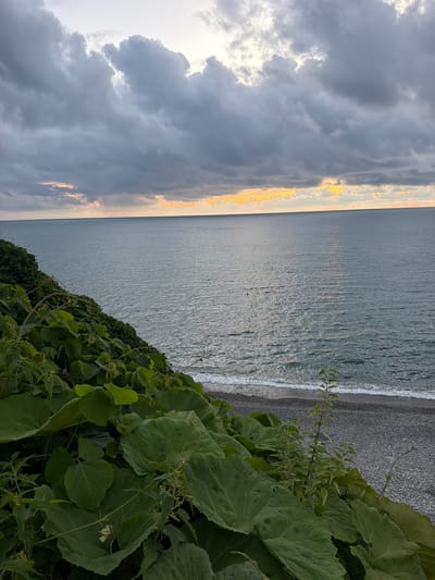 The image depicts a coastal scene in Tsikhisdziri, Georgia. In the foreground, lush green foliage, including large-leafed plants and vines, covers a steep embankment. The embankment slopes down towards a pebble beach where small waves gently lap the shore. The sea stretches out towards the horizon, its surface rippled by the water's movement. Above the sea, a dramatic sky is filled with a mixture of heavy, dark gray clouds and patches of lighter, yellowish light, suggesting either dawn or dusk. A single, small human figure can be seen swimming or wading in the water, far from the shore. The overall atmosphere is moody and serene, typical of a coastal environment during transitional light hours.