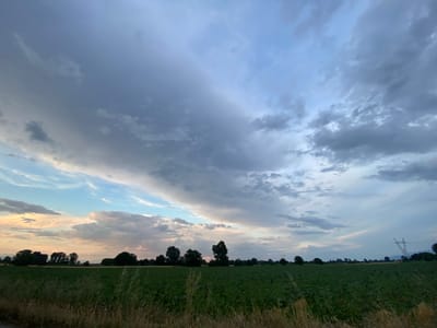 An expansive, wide-angle shot captures a rural landscape under a dramatic, overcast sky. The foreground is dominated by a lush, green field of crops, possibly sunflowers given their dense, uniform growth. Tall grasses and dry stalks line the bottom edge of the frame, suggesting a roadside or field boundary. A line of dark green trees creates a silhouette against the horizon, interspersed with occasional taller, more solitary trees. In the distance, a modern power pylon stands tall on the right side of the image, a stark contrast to the natural elements. The sky is a tumultuous mix of heavy, dark grey clouds that occupy the majority of the upper frame, with patches of lighter blue and soft pink hues peeking through near the horizon, hinting at either the approach or departure of a storm, or perhaps the remnants of sunset. The overall impression is one of a serene yet imposing natural environment, likely situated in a rural area such as Miriantsi, Bulgaria, where agriculture and open skies define the scenery. There are no people or discernible human activity visible in the scene.