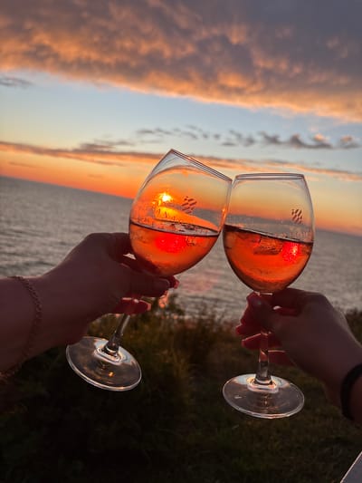 The image, oriented vertically, captures a moment of toast or celebration at sunset over a body of water. Two pairs of hands, one entering from the upper right and the other from the lower right, hold two wine glasses, seemingly clinking them together. The glasses are filled with a rosé-colored liquid, which appears chilled, as condensation fogs the glass surfaces. The vibrant, orange glow of the setting sun is dramatically reflected within the liquid of the lower glass, making it appear intensely luminous.

The glasses themselves bear the brand name "ANAGORIA" and a distinctive checkered logo. The hands are softly illuminated by the twilight, with the lower hand featuring a delicate bracelet and manicured nails.

The background showcases a picturesque sunset sky, dominated by soft, elongated clouds painted in warm hues of orange, pink, and pale blue, gradually transitioning to a lighter blue higher up. Below the horizon, a calm body of water, likely a lake or estuary like the Akhtanizovsky Liman in Akhtanizovskaya, Russia, reflects the diminishing daylight and sky colors. Dark, indistinct foliage is visible on the far right, bordering the water, suggesting a shore or bank. The overall atmosphere conveys peace, enjoyment, and natural beauty.
