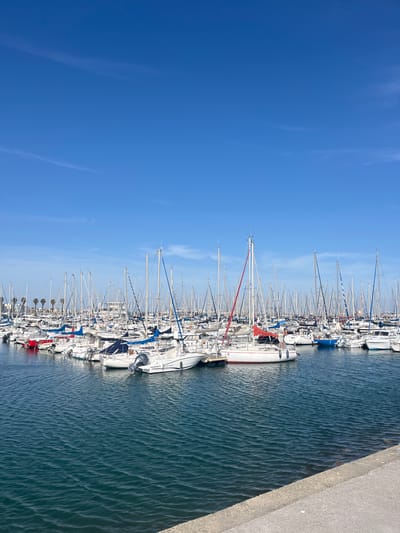 The image captures a vibrant marina scene, likely in Palavas-les-Flots, France, under a clear, bright blue sky. Numerous sailboats and yachts are docked side-by-side, filling the left and central parts of the frame. The boats are predominantly white, with their tall masts and intricate rigging creating a dense, vertical pattern against the sky. Some vessels display colorful accents, such as red furled sails or blue tarpaulins.

The water in the marina is a deep, dark blue, showing gentle ripples across its surface, suggesting calm conditions. To the right, a textured concrete pier or seawall runs diagonally from the foreground into the distance, separating the docked boats from the vantage point of the photographer.

The weather appears sunny and clear, with only a few faint, wispy clouds visible in the expansive blue sky. The bright illumination indicates it is daytime, likely mid-morning or early afternoon. There are no visible people or discernible activities taking place, portraying a peaceful and still moment in the bustling marina. No specific text is clearly legible on any of the boats or structures. The overall impression is one of tranquility and maritime leisure.