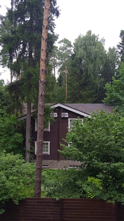This image shows a two-story wooden house in a dense forest setting. The house has a dark brown wooden exterior with white trim around the windows and eaves. Two white air conditioning units are mounted on the upper story of the house. The roof is covered in dark gray shingles. In the foreground, there is a dark brown wooden fence. A tall, bare pine tree trunk stands prominently in front of the house, and the surrounding area is filled with various types of trees and lush green foliage. The sky is overcast and appears bright white, suggesting a cloudy day. The overall scene depicts a secluded, natural environment with a residential structure integrated into it.