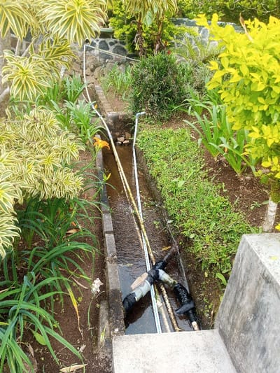This image captures an outdoor scene within Nghĩa Đồng Commune, Vietnam, showcasing a narrow, concrete-lined water channel running through densely vegetated ground. The channel, approximately 30-40 cm in width, contains flowing water with visible ripples and minor organic debris.
Multiple pipes are integrated into the scene. Two prominent long, light-colored pipes lie horizontally within the channel, partially submerged. In the lower right section of the channel, a cluster of shorter pipe segments, including a T-junction and a light-colored valve with a tan handle, are visible. These fittings are partially wrapped in black material. Additionally, two slender, light-colored pipes extend upwards from the channel into the surrounding foliage on both the left and right sides.
The vegetation flanking the channel is lush and varied. On the left, large plants with variegated yellow and green leaves are prominent, accompanied by plants with long, narrow green leaves. One orange daylily flower is in bloom on a stalk, and a single faded white flower is also present. The right side of the channel features a dense green bush in the mid-ground and a bright yellow-leafed shrub on the far right, with other smaller green plants along the channel's edge. Dark soil is visible beneath the foliage. In the background, a low retaining wall constructed from dark, irregularly shaped stones is partially visible behind additional foliage. A weathered concrete structure occupies the lower right foreground. No individuals are present in the image.