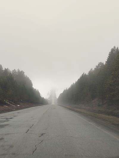 The image shows a straight asphalt road receding into dense fog. Tall coniferous trees line both sides of the road. Patches of snow are visible near the trees on the left. The road surface is cracked and wet. The image appears to have been taken from a moving vehicle. There is no indication this location is in Gol'yany, Russia.
