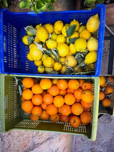 The image displays two prominently featured plastic crates filled with fresh citrus fruits, set on a textured stone-like surface, likely outdoors in Ros Na Rí, Ireland. A third, partially visible crate of oranges is in the upper background.

The crate on the left is a vibrant blue and is abundantly filled with bright yellow lemons. Many of these lemons retain small green leaves attached to their stems, indicating their freshness and recent harvest. The lemons vary slightly in size and texture.

Adjacent to it, on the right, is an olive green plastic crate brimming with numerous vivid orange oranges. These oranges also appear fresh and are densely packed within the crate. Another olive green crate, positioned further back and slightly above the foreground crates, contains more oranges, suggesting a larger collection or display of fruit.

The surface beneath the crates is a rough, uneven texture resembling natural stone or concrete paving, with earthy tones. To the far left, green foliage from a plant is visible, contributing to the natural outdoor setting. The lighting is bright and natural, suggesting daytime. The scene evokes a fresh produce display, possibly at a market, farm stand, or a collection from a recent harvest. There is no visible text in the image.