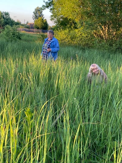 Two women are standing in a field of tall grass in a rural area, possibly on the outskirts of Vyshkov, Russia. The woman in the foreground, to the right, is crouched down and partially obscured by the grass. She has blonde hair and is wearing a brown jacket. The second woman, to the left, is standing upright and looking towards the camera. She has short gray hair and is wearing a blue jacket over a patterned dress. The setting sun casts a warm glow on the scene, illuminating the blades of grass and the surrounding trees. In the background, there are some houses and a wooden fence, suggesting the presence of a village or settlement. The sky is clear with a hint of sunset colors.