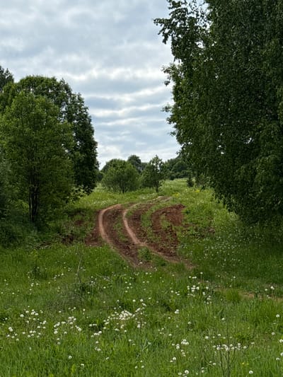 The image depicts a landscape scene in Medvedka, Russia. A dirt track with visible tire tracks curves through a field of green grass and white wildflowers. Trees line either side of the path, forming a partial canopy overhead. The sky is visible through the trees, showing a pattern of clouds. There are no people or animals visible in the image.