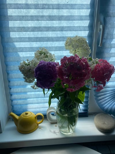 The image displays a still life arrangement on a windowsill. In the foreground, a bright yellow ceramic teapot sits to the left. Next to it are some small white objects, possibly decorative stones or small figurines, and a clear plastic clip. A glass vase filled with water and a bouquet of phlox flowers in various shades of pink, purple, and white is positioned in the center. The flowers are lit by natural light coming through a blue pleated blind that covers the window. To the right of the vase, a smooth, gray, oval-shaped stone rests on the windowsill. In the background, the blue blinds create a textured backdrop with horizontal lines, and a white window handle is visible on the right side. The setting appears to be an indoor residential space.