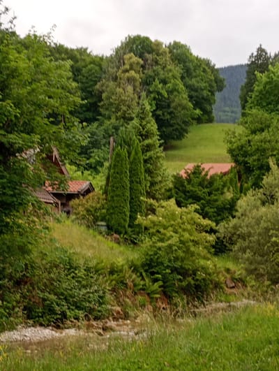 The image depicts a lush, green landscape with a building nestled amongst dense foliage. The building, partially obscured by trees, appears to be a house or a cabin with a red tiled roof. Tall, slender evergreen trees stand prominently in front of the structure, flanking what seems to be a gravel pathway. The surrounding environment is characterized by a variety of trees and undergrowth, suggesting a rural or semi-rural setting. In the background, a gentle slope covered in grass leads up to a dense forest that extends into the distance, eventually meeting a hazy, dark green hillside under an overcast sky. A small stream or body of water with a rocky bed is visible in the foreground. The scene conveys a sense of tranquility and natural beauty.