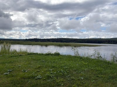 The image depicts a serene natural landscape featuring a wide expanse of water, likely a lake or a slow-moving river, with a dense forest line in the background. The sky is overcast with heavy, textured grey clouds interspersed with patches of bright blue sky, suggesting dynamic weather conditions. The foreground is a lush green grassy area with scattered broad-leafed plants. The water's surface is slightly rippled, reflecting the sky and the surrounding vegetation. The scene is peaceful and untouched, conveying a sense of remote wilderness. The location is identified as a natural area within the city of Пакли, Russia.
