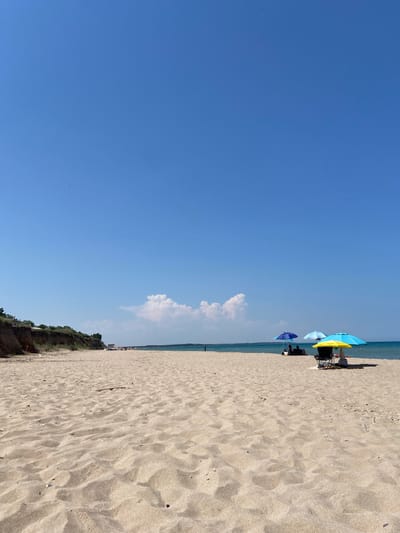 This is a landscape-oriented photograph of a beach scene on a bright, sunny day. The image is dominated by a vast expanse of clear, bright blue sky on the left, taking up approximately two-thirds of the frame. On the right, a sandy beach stretches towards the horizon, with textured patterns in the sand from the wind.
Along the shoreline, several beach umbrellas are visible, providing shade. One umbrella is a vibrant yellow and blue, with a person sitting beneath it in a chair. Another umbrella is blue, and further down the beach, a smaller blue umbrella is also visible. A few other beachgoers are scattered along the shore, mostly appearing as small figures in the distance.
In the background, the calm sea meets the horizon, and a line of greenery marks the edge of a cliff or embankment on the far right of the frame, interspersed with some buildings. A lone cloud is visible in the sky above the sea, and a few small birds are in flight. The overall impression is one of a peaceful and pleasant summer day at the beach.
The time of day appears to be midday, given the bright sunlight and clear sky. The weather is sunny and warm. The location is a coastal area, likely in Shabla, Bulgaria, as indicated by the context. There is no visible text in the image.