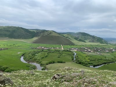This image captures a serene pastoral landscape with rolling green hills, a winding river, and a small village nestled in the valley. The foreground features rocky terrain dotted with numerous small white wildflowers. The middle ground is dominated by lush green fields, dissected by a calm, dark-water river that meanders through the scene, bordered by dense clusters of trees and shrubs. A small herd of cattle is visible grazing in one of the open pastures. In the background, a village of modest houses with predominantly brown roofs is spread out along the riverbanks and fields. The village appears to be located in the Khurai-Nur region of Russia, characterized by its extensive grasslands and scattered settlements. The sky above is overcast with a layer of soft, gray clouds, suggesting a temperate climate. The overall impression is one of a quiet, rural existence in a vast, natural setting.