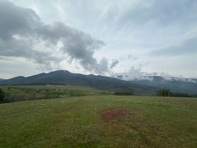 The image presents a wide, panoramic view of a verdant, mountainous landscape in Mirkovo, Bulgaria, under a heavily overcast sky. In the foreground, a vast expanse of lush green grass dominates, dotted with scattered white dandelion seeds and patches of reddish-purple vegetation.
Moving towards the midground, the terrain undulates into rolling hills and valleys, covered in a mix of green fields and dense clusters of trees. A dirt road or path is faintly visible, winding through the landscape on the left side, leading to a small cluster of distant white buildings, possibly rural homes or farm structures. A utility pole and overhead wires can also be discerned on the far left.
The background features a prominent range of mountains, thickly forested with dark green trees. The upper sections and peaks of these mountains are partially obscured by thick, low-hanging grey clouds and mist, which merge with the cloudy sky above.
The sky is largely covered by a dense layer of grey and white clouds, suggesting an overcast day. The lighting is diffused and soft, indicating either an early morning, late afternoon, or midday under heavy cloud cover. No people or specific activities are depicted in the static scene. The image conveys a sense of natural tranquility and vastness. There is no visible text.