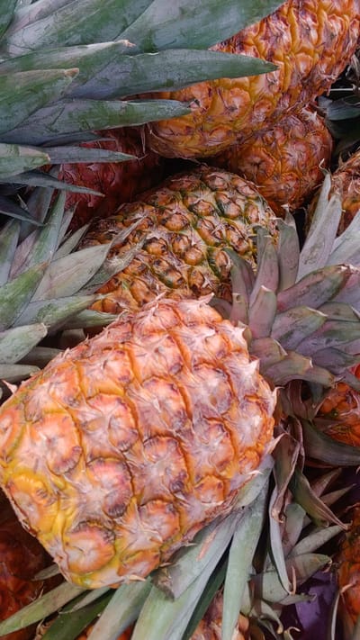 The image shows a close-up of several pineapples stacked together. The pineapples have a golden-orange exterior and are surrounded by green spiky leaves, part of the pineapple crown. The background is filled with more pineapples, suggesting a large pile or display of the fruit. The specific location in La Joya, Mexico, is not discernible from the image alone.