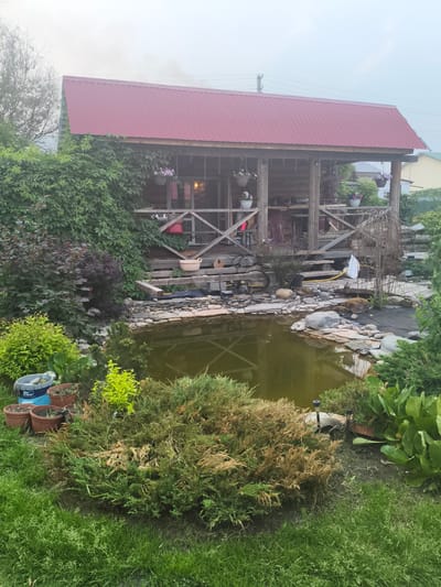 This media file shows an outdoor scene of a rustic wooden gazebo with a red metal roof, situated next to a pond in a garden setting. The gazebo appears to be a covered porch or outdoor living space, with wooden posts and railings, and hanging flower baskets. In the foreground, a pond is visible, surrounded by rocks and various types of vegetation, including bushes, grass, and some smaller trees. There are also several potted plants near the pond and on the porch. The overall impression is one of a well-maintained, naturalistic garden.

The time of day appears to be either early morning or late afternoon, given the soft, diffused light and overcast sky. There is a hint of smoke or mist in the upper left portion of the image, suggesting either a distant fire or a foggy, humid atmosphere. The location is identified as Verkh-Tula, Russia, which is consistent with the rural or suburban garden aesthetic.

Notable details include the variety of plants, the construction of the gazebo and pond, and the presence of outdoor lighting fixtures near the pond. There is also some text visible on a blue and white bucket in the lower left of the image, which appears to be a paint or material container, with the word "Dulux" clearly legible. No people are visible in the scene. The overall mood is tranquil and serene, evoking a sense of peaceful outdoor living.