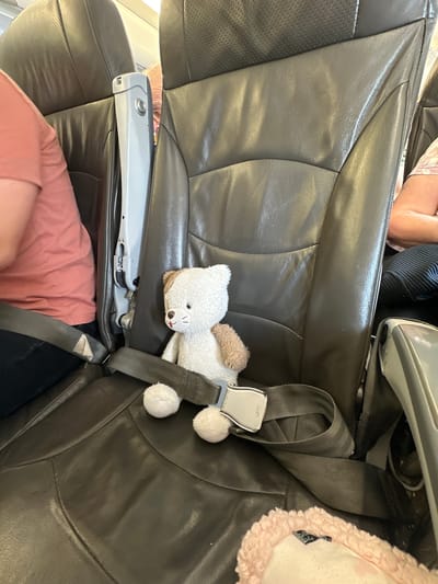 A white and brown teddy bear is sitting in an airplane seat. The seat is dark gray leather with a seatbelt fastened around it. The teddy bear's left paw is resting on the seatbelt buckle. To the left of the teddy bear, a person wearing a pink shirt is visible. In the background, another person can be seen sitting in a similar seat. The environment suggests an airplane cabin. The image does not contain any information about the city of Yehud Monosson, Israel.