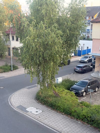 The image depicts a street scene in Forchheim, Germany, on a clear day. A large tree with light green foliage dominates the foreground, its branches overhanging a paved sidewalk and a street. Several cars are parked on the street and in designated parking spots. To the right of the street, there is a building with multiple floors, featuring balconies with blue railings. A smaller building with a light-colored facade and windows is visible on the left side of the image, partially obscured by trees. The street is asphalt, and the sidewalk is paved with light-colored rectangular stones. A manhole cover is visible on the street. The scene appears to be a residential or mixed-use area.