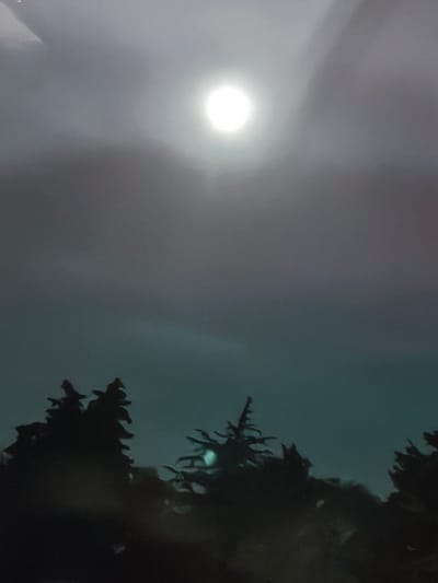 The image depicts a nighttime scene with a full moon dominating the sky. The moon is bright and slightly diffused by thin clouds, casting a soft glow. Silhouetted against the sky are the tops of several evergreen trees, their branches forming a jagged line against the luminous backdrop. The overall atmosphere is serene and somewhat mysterious, with the darkness of the trees contrasting with the bright moon. The setting appears to be natural, possibly a forested area or a park. The time of day is clearly night, indicated by the presence of the moon and the silhouettes of the trees. There are no people or explicit man-made objects visible, with the focus being on the natural elements of the night sky and the trees. The clouds add a layer of texture to the sky, hinting at possibly misty or hazy conditions. The colors are muted, primarily shades of gray, black, and a subtle teal in the sky. The image evokes a sense of quiet contemplation and the beauty of a moonlit night. No text is visible in the image.