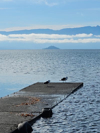 A partly sunny day by the water in Villarrica, Chile. A dark concrete pier stretches into the water, which reflects the blue sky. Two birds stand on the pier. Mountains are in the distance.