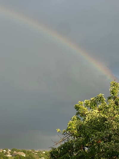 An outdoor, full-frame, vertical shot shows a partially visible rainbow in the upper left quadrant of a heavily overcast sky. The rainbow is a pale arc of muted colors, extending from the top left corner towards the center of the frame. The sky is a gradient of dark gray in the lower portion to a lighter gray towards the top, with some lighter patches visible behind the rainbow.
In the lower right quadrant, the upper branches of a lush green tree are prominent. The leaves are dense and appear to be catching the light, with some lighter green and yellow hues. The tree branches are laden with green leaves and some small, round fruits that appear to be apples.
In the lower left quadrant, a distant view of a village is visible. The village consists of several houses with light-colored roofs, nestled among green trees. Utility poles and wires are scattered throughout the village. The overall environment suggests a rural or semi-rural setting, likely after a rain due to the presence of the rainbow. The image does not contain any people or discernible actions.