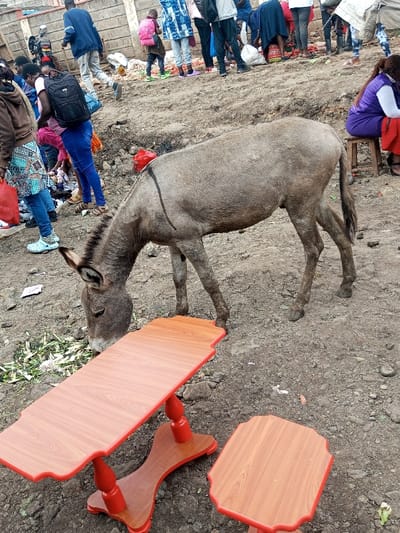 An outdoor scene in Keekonyokie ward, Kenya, depicts a light brown/grey donkey with a dark vertical line on its left flank, standing on uneven, light brown dirt ground. The donkey's head is lowered, consuming green leafy plant matter from the ground in the lower-left quadrant of the image.
In the immediate foreground, two small wooden tables or stools are present. The larger item is an elongated, curved table with a reddish-brown wood-grain patterned top and red painted edges, supported by a central red turned pedestal. The smaller item, partially visible on the right, is a rectangular stool with rounded corners, featuring a similar reddish-brown top and red edges.
The midground and background feature a populated, open-air environment, indicative of a market or gathering area. Multiple individuals are visible, standing and moving. On the left midground, a person wearing blue jeans and a multi-patterned skirt over jeans, with light blue Crocs, is bent over near items on the ground. Another individual with a black backpack and blue jeans is behind them. Further back, a crowd of people in various casual attire, including one person with a pink backpack, occupy an elevated dirt area. Market goods, possibly produce, and red plastic bags are discernible on the ground among the people. On the right midground, a person in a purple top and red skirt is seated on a small wooden stool. The entire ground surface is dirt, strewn with various debris, including paper and organic matter. A light-colored wall is visible in the distant background.