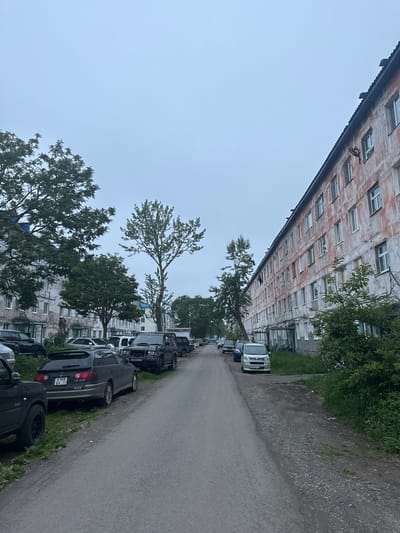 The image shows a street scene in Vilyuchinsk, Russia. On the right side of the image is a long, multi-story apartment building with a weathered, peeling facade, predominantly in shades of off-white and reddish-orange. The building has numerous windows, many of which appear to have white frames. The roofline is visible, with a dark, sloped covering and visible edges. Trees with green foliage grow along the front of the building and in front of the apartment complex on the left.

The street in the foreground is paved with asphalt and gravel, with a clear demarcation between the road surface and the grassy embankment. Several vehicles are parked along the right side of the street, adjacent to the apartment building, and along the left side, closer to the other apartment complex. These vehicles include SUVs and station wagons, some with visible license plates. Green grass and bushes are present along the edges of the street and in front of the buildings. The sky is overcast with a pale blue-gray hue. The overall impression is that of a residential area in a possibly older or less maintained part of the city.