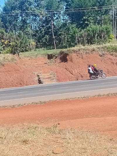 A motorcycle lies on its side next to a road, a person in white and another in yellow nearby. Lush green trees line one side of the road, contrasting with the dry, brown vegetation on the opposite side. The road cuts through a landscape of reddish-brown soil and grass. The entire scene is bathed in bright sunlight, creating sharp shadows.