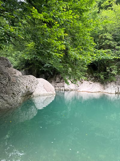 The image depicts a serene natural scene likely within the city of Khleborob, Russia, showcasing a clear, turquoise-colored body of water surrounded by lush greenery and imposing rock formations. The water's surface is calm, with subtle ripples reflecting the overhead foliage and the textured surfaces of the rocks. Large, weathered boulders, exhibiting variations in color from light gray to a pale pinkish hue, dominate the left side of the frame, their surfaces bearing the marks of time and erosion. Behind these rocks, the landscape transitions to steep, striated rock faces that recede into the background.

A dense canopy of vibrant green leaves from overhanging trees forms a natural ceiling over the scene, casting dappled shadows onto the water and rocks. The foliage appears healthy and abundant, suggesting a temperate climate and a thriving ecosystem. The overall impression is one of natural beauty and tranquility, with no human presence or man-made structures evident in the immediate vicinity, suggesting a secluded or wild natural environment. The water is shallow enough in some areas to reveal the contours of the submerged rocks beneath its surface.