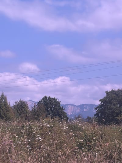 This is a landscape photograph taken in the city of Kurjinovo, Russia. The foreground is dominated by a field of tall, dry grass and wildflowers, with a variety of green bushes and trees scattered throughout. In the middle ground, several large deciduous trees are visible, with one particularly prominent dark green tree on the right side of the image. Behind the trees, a rugged, rocky mountain range stretches across the horizon. The sky above is a pale blue with wispy, pale purple clouds and three parallel power lines running horizontally across the upper portion of the frame. The overall impression is one of a natural, slightly wild landscape under a cloudy sky.
