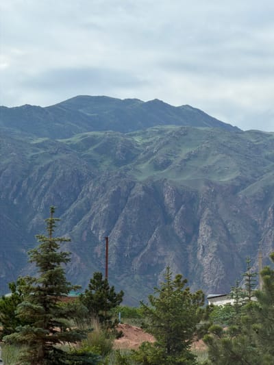 The image shows a landscape view in Kaji-Say, Kyrgyzstan, characterized by a vast mountain range dominating the background under a cloudy sky. The mountains display a rugged texture with visible rock formations and slopes covered in green vegetation. In the foreground, several coniferous trees are present, with one large fir tree prominently positioned on the left. A rusty metal pole stands vertically between the trees. A small building with a white facade and a dark roof is visible behind the trees on the right side of the image. The ground in the foreground consists of dry grass, sand, and some undergrowth. The overall scene depicts a rural or semi-mountainous environment.