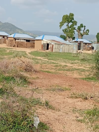 The image depicts a rural scene in Shuwa, Nigeria, featuring a cluster of traditional houses. The houses have walls made of mud and wood, with corrugated metal roofs. In the foreground, dry, thorny bushes and some sparse green grass dot the sandy terrain. In the mid-ground, several houses are visible, some with wooden fences and others with corrugated metal siding. One house features a blue-trimmed metal roof. Behind the houses, a large, leafy tree stands prominently, with another smaller, partially bare tree beside it. In the distance, rolling hills are visible under a cloudy sky. A person, appearing to be an adult male, is walking towards the right side of the image in the mid-ground, near one of the houses. The overall impression is one of a simple, rustic village environment.