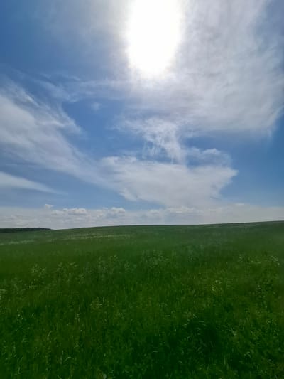 A wide-angle, eye-level shot captures a bright, sunny day over a lush green field and a vast blue sky. The sun, high and slightly off-center to the left, emits a strong glare, partially obscured by wispy, white cirrus clouds that stretch across the sky in feathery patterns. The field is a uniform, vibrant green, with hints of lighter green vegetation and possibly wildflowers scattered throughout, suggesting a natural or agricultural landscape. In the distance, a dark, narrow band of trees marks the horizon line, separating the field from the sky. The overall impression is one of natural beauty and open space, typical of rural or undeveloped areas. The location is identified as the city of Bayanday, Russia.