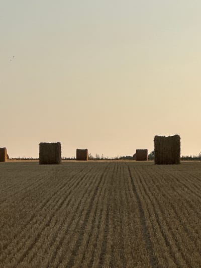 This is a photograph of a rural scene in Trouville-Alliquerville, France, featuring a harvested field with several rectangular hay bales. The field is the dominant element in the foreground, exhibiting the texture of stubble from the harvested crop, with visible rows or furrows indicating the direction of harvesting. In the middle ground, scattered across the field, are approximately five hay bales, appearing dark brown and cubic in shape. The bales are positioned at varying distances from the viewer.

The background is a wide expanse of pale sky, transitioning from a lighter hue at the top to a warmer, more yellowish tone near the horizon. There are a few small, dark, indistinct shapes in the upper left portion of the sky, which could be birds or distant objects. The overall lighting suggests either dawn or dusk, with a soft, diffused light casting gentle shadows. No people or animals are visible, and the scene is static and peaceful, typical of a agricultural landscape.
