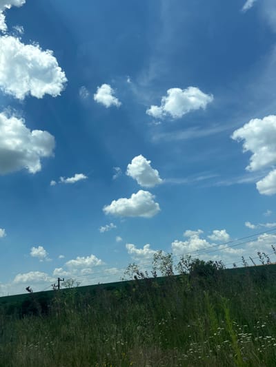 The image depicts a rural landscape with a bright blue sky filled with scattered white cumulus clouds. In the foreground, tall green grass and wildflowers grow, with some plants in focus and others blurred. Beyond the grassy area, a sloping green field rises, topped by a line of trees and vegetation. Overhead, power lines run horizontally across the frame. The scene is devoid of people and appears to be a natural setting, possibly on the outskirts of Voivodino, Bulgaria, given the context. The overall impression is one of a sunny day in the countryside.