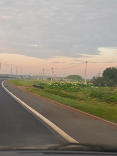 The image depicts a highway scene at dawn or dusk, characterized by a soft, hazy sky with pastel pinks and grays. The road, paved with asphalt and marked with a white line, curves to the left. Tall, slender lampposts line the right side of the road in the distance. Beyond the road, a grassy embankment is covered with abundant white flowers, possibly hogweed. A small, rounded hill with vegetation is visible further back, and more power lines and poles stretch across the landscape. In the far distance, vehicles can be seen on the highway. The scene appears to be in a rural or semi-rural area, potentially on the outskirts of a city. Given the context of the city of Торфяное, Russia, this likely depicts a highway leading into or out of the area.