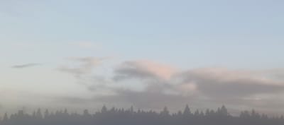 The image depicts a serene, hazy landscape with a silhouetted forest line against a pale blue sky. Wispy clouds, tinged with pink, are scattered across the upper half of the frame. The overall impression is one of tranquility and natural beauty, possibly captured during dawn or dusk. The scene is devoid of any human presence or activity, focusing solely on the environmental elements of sky, clouds, and trees. The location is identified as Merchalovo, Russia.